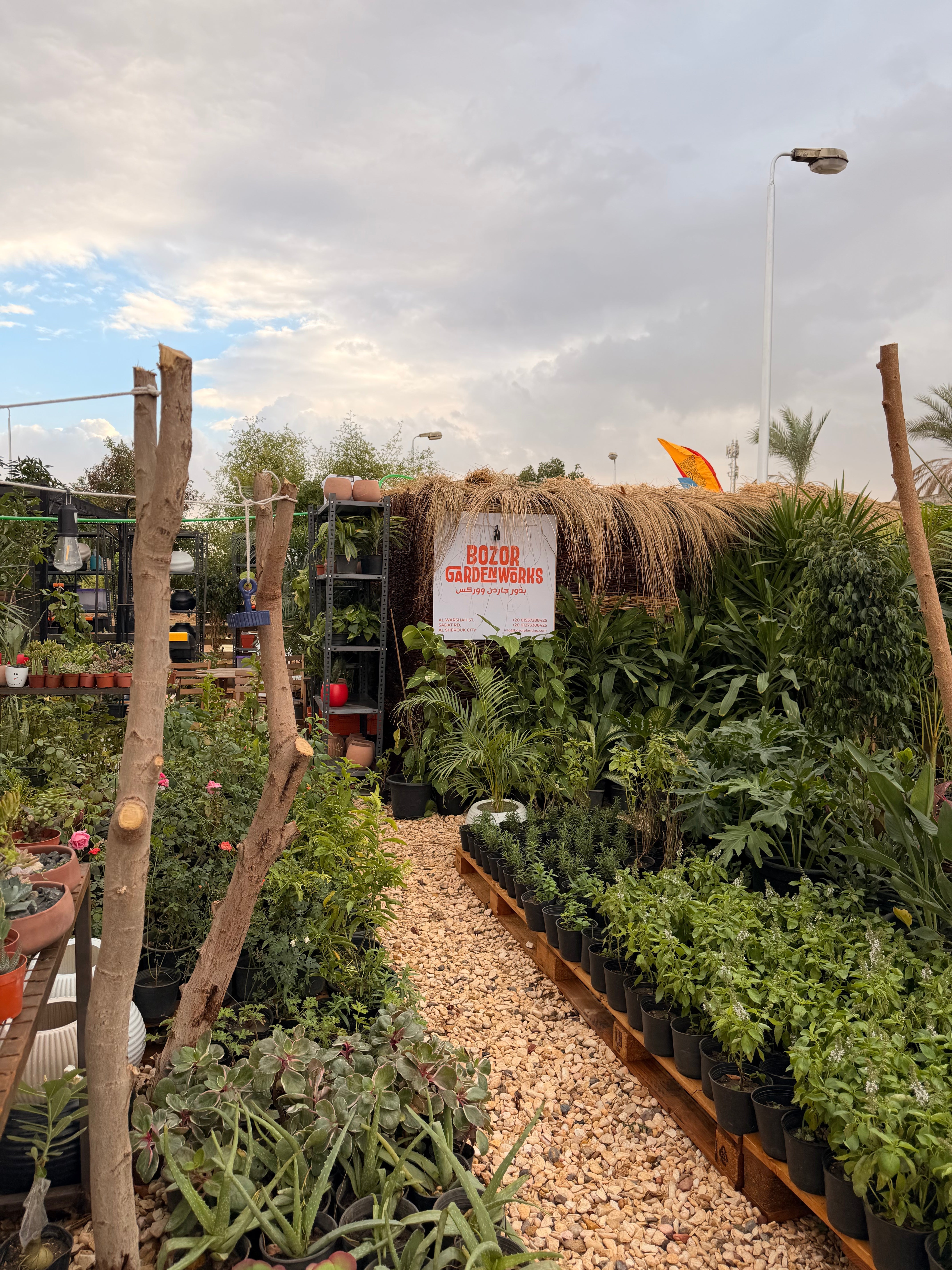 Shop All - Bozor GardenWorks