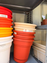 Round Pot and Plate
