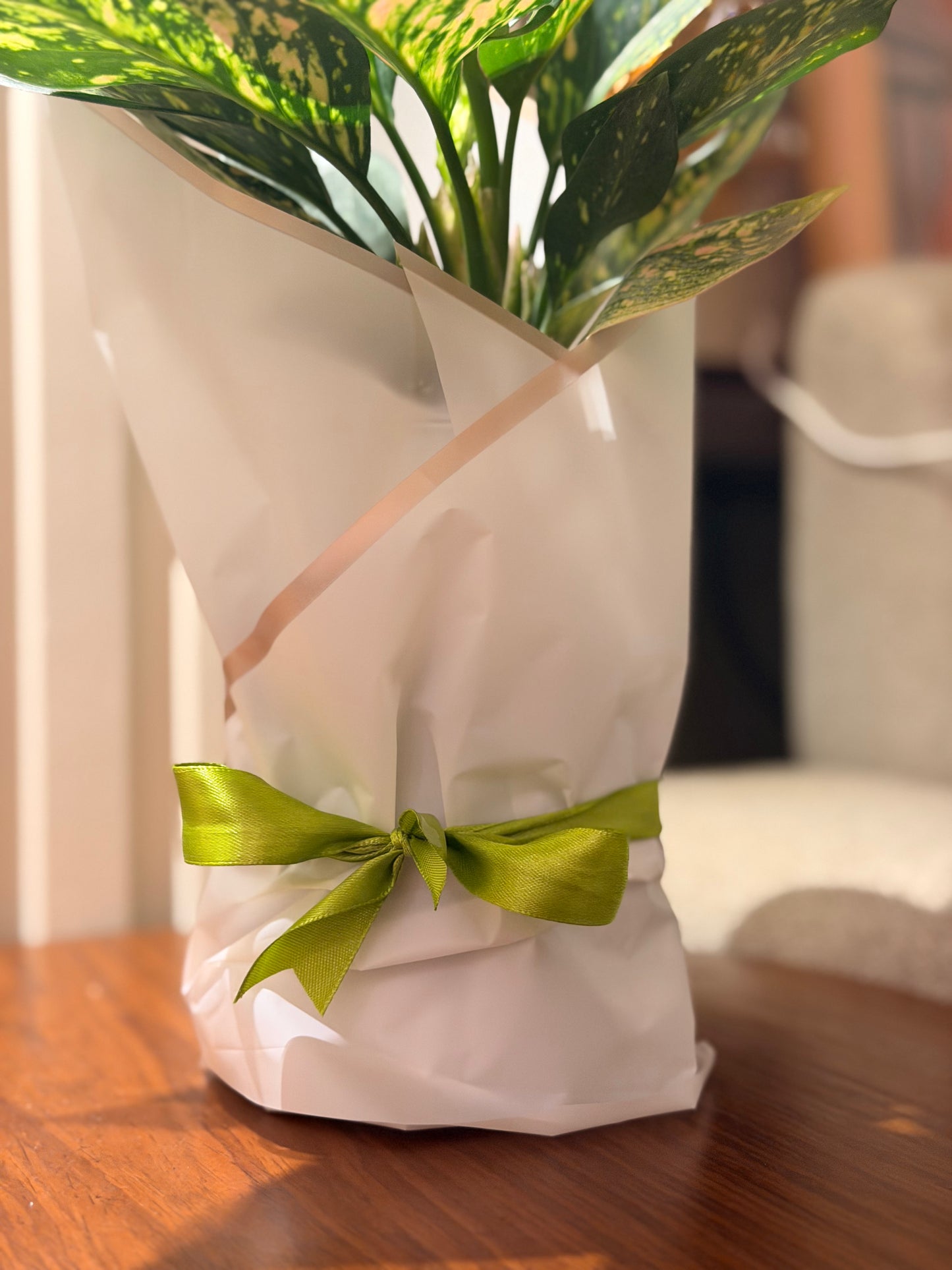 Syngonium bouquet in Vase 🌿