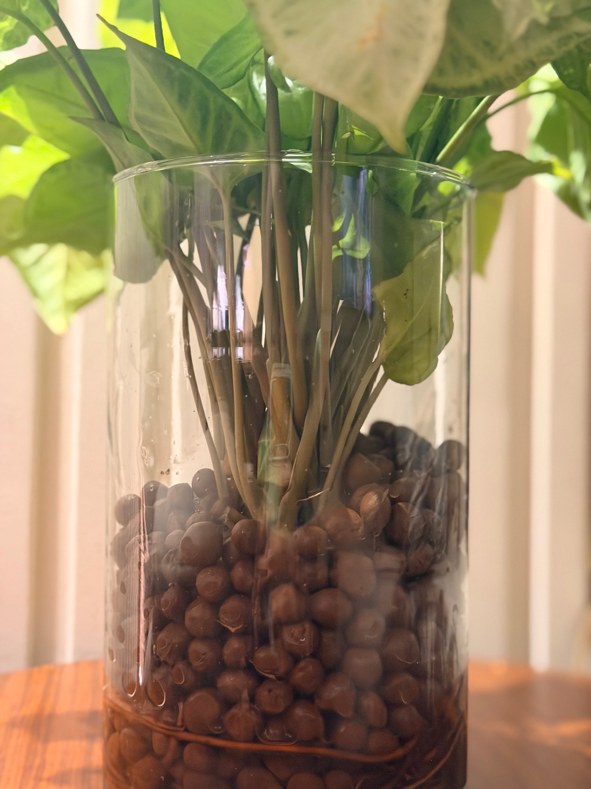 Syngonium bouquet in Vase 🌿
