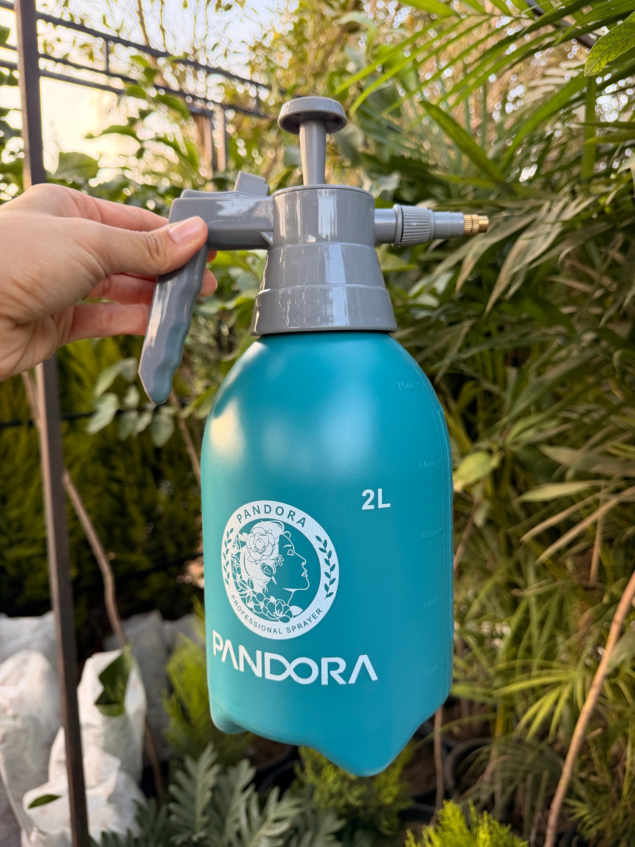 2L Pressure Spray Bottle