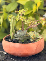 Cactus Garden Raw Bowl