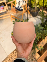 Plain Terracotta Pot