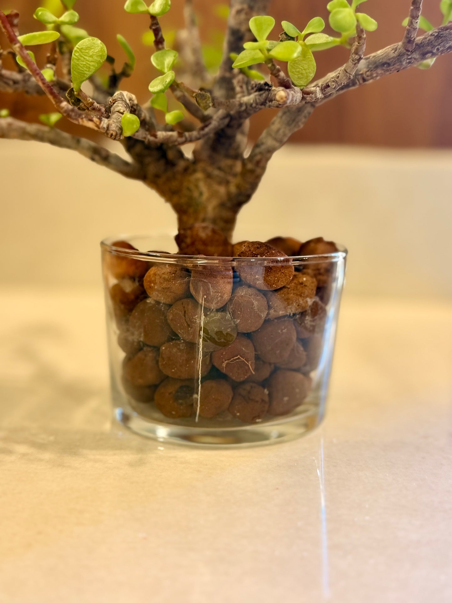 Clear Glass Cylinder