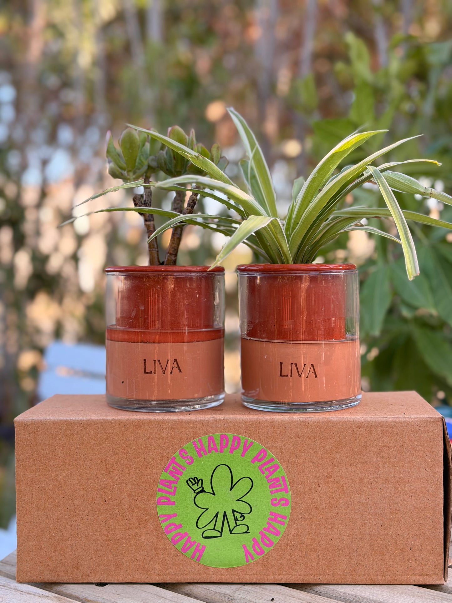 Breathable terracotta (LIVA)