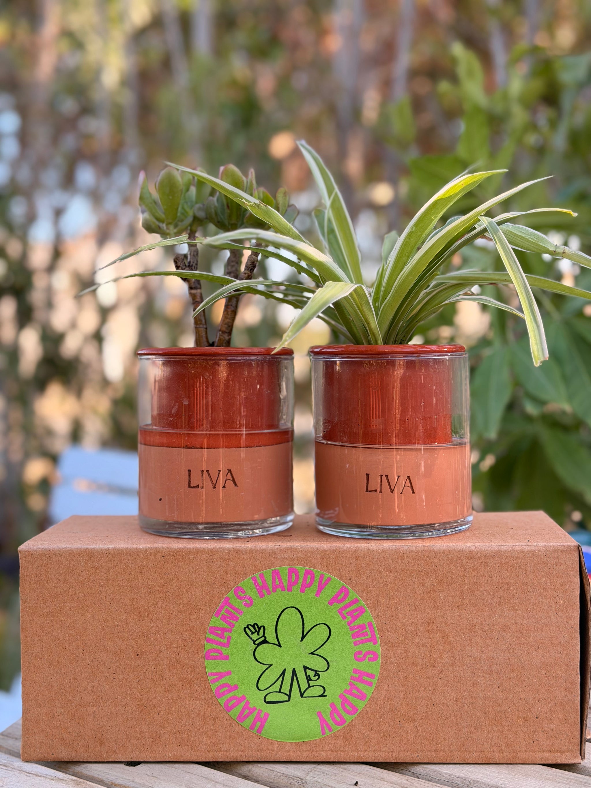 Breathable terracotta (LIVA)