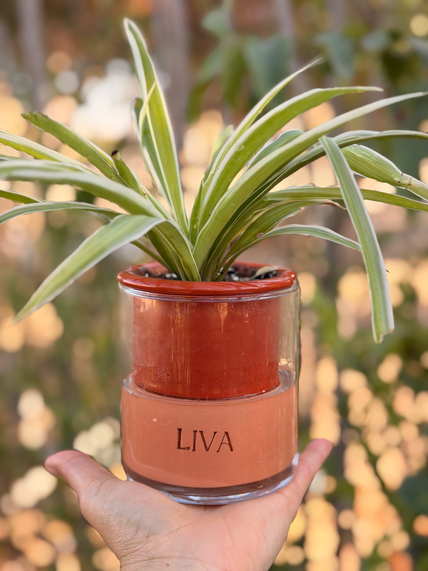 Breathable terracotta (LIVA)