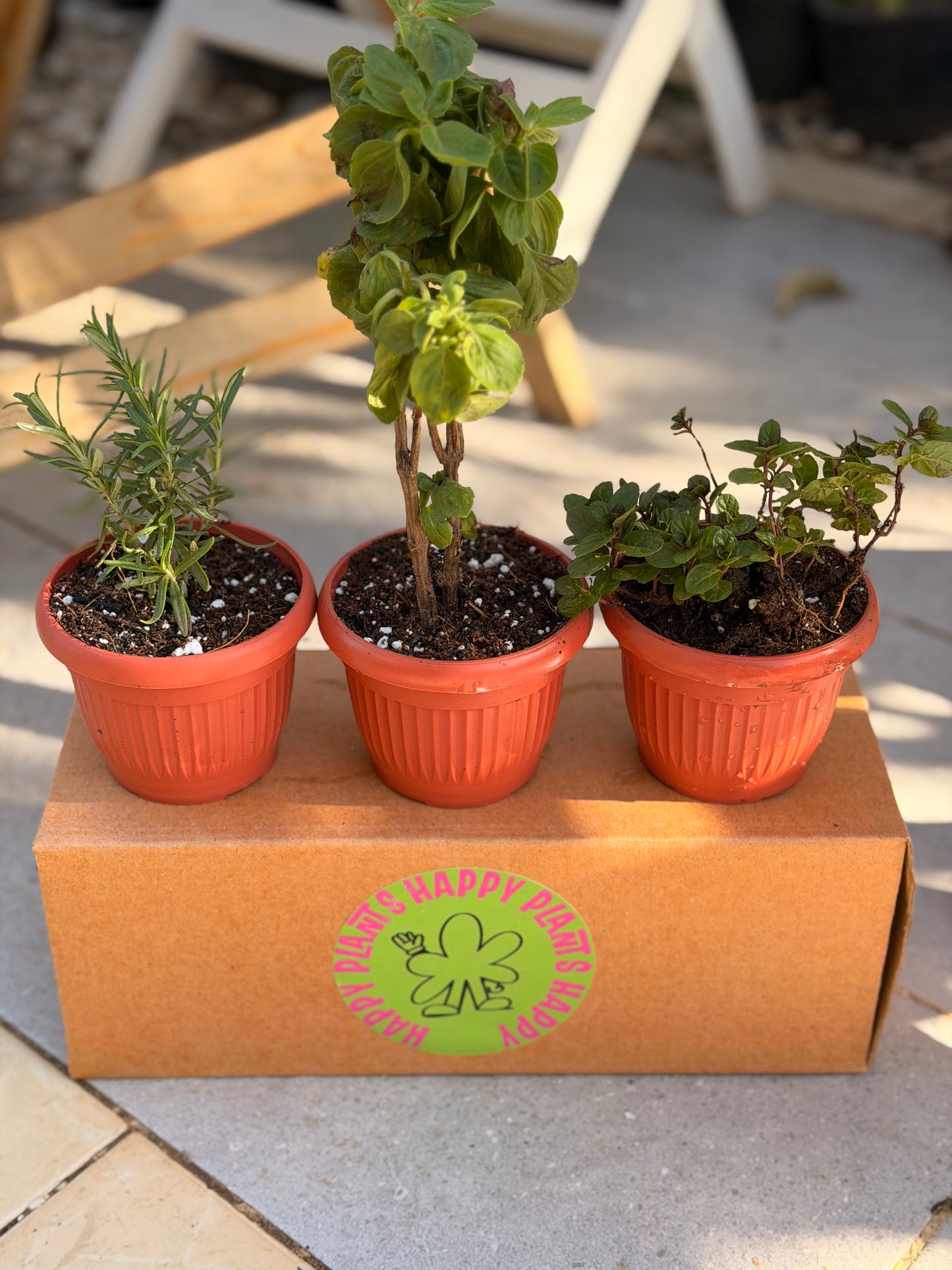Kitchen Essentials Trio