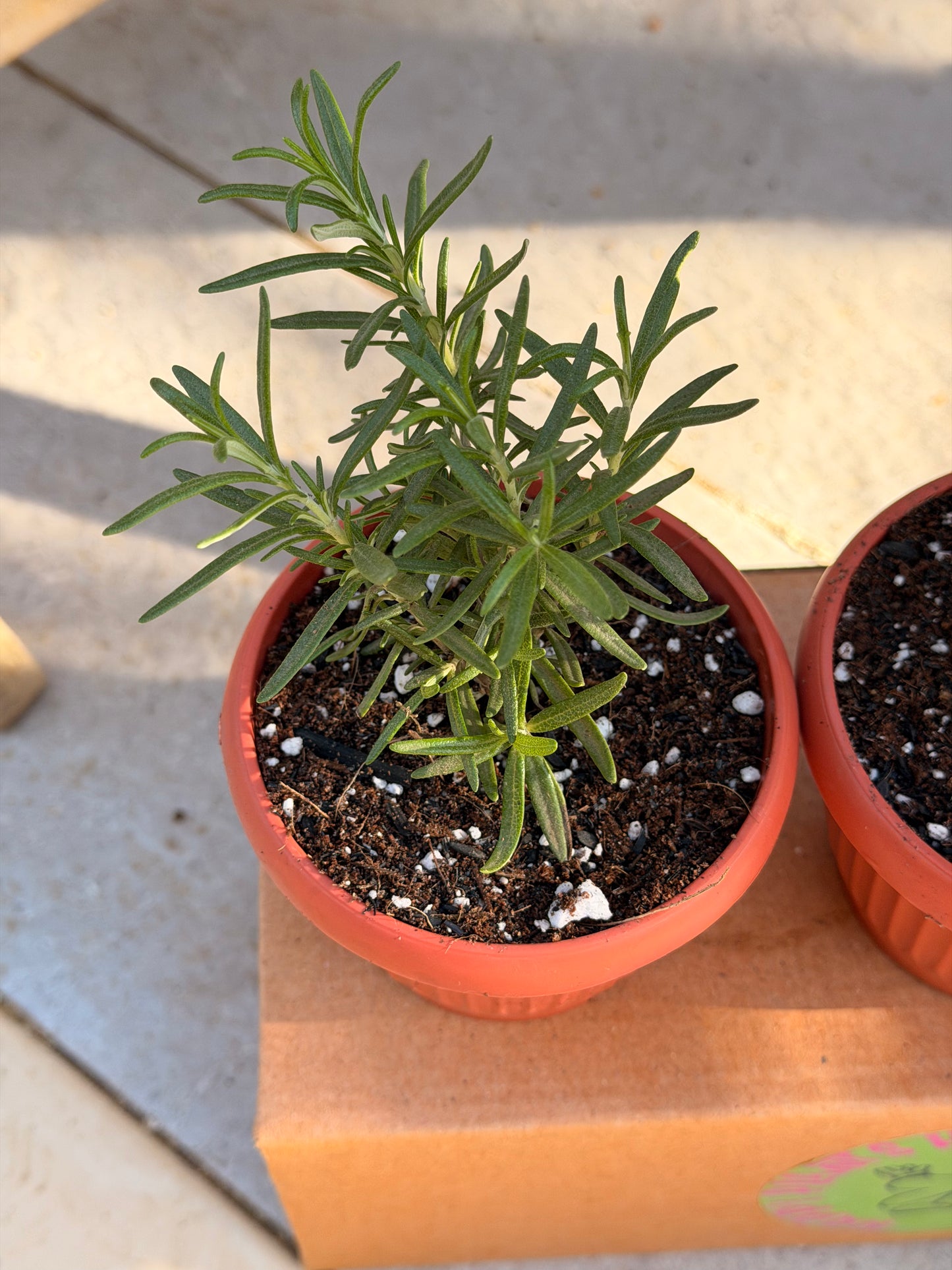 Kitchen Essentials Trio