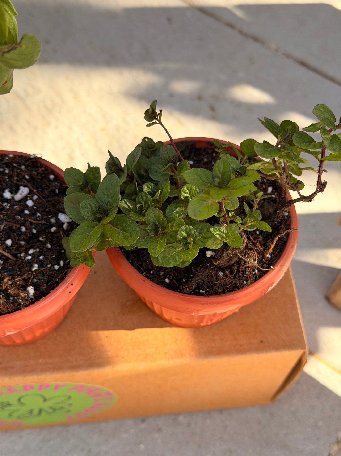 Kitchen Essentials Trio