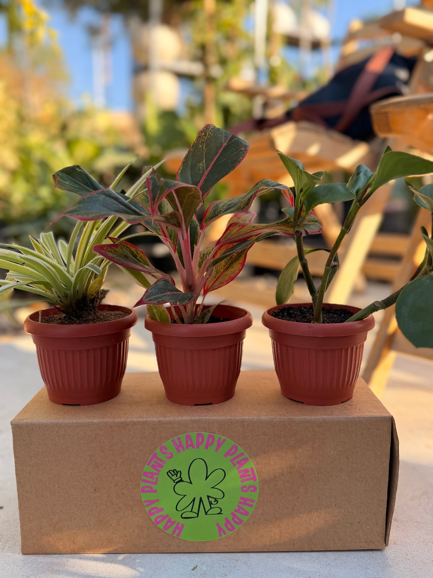 Resilient Indoor Trio