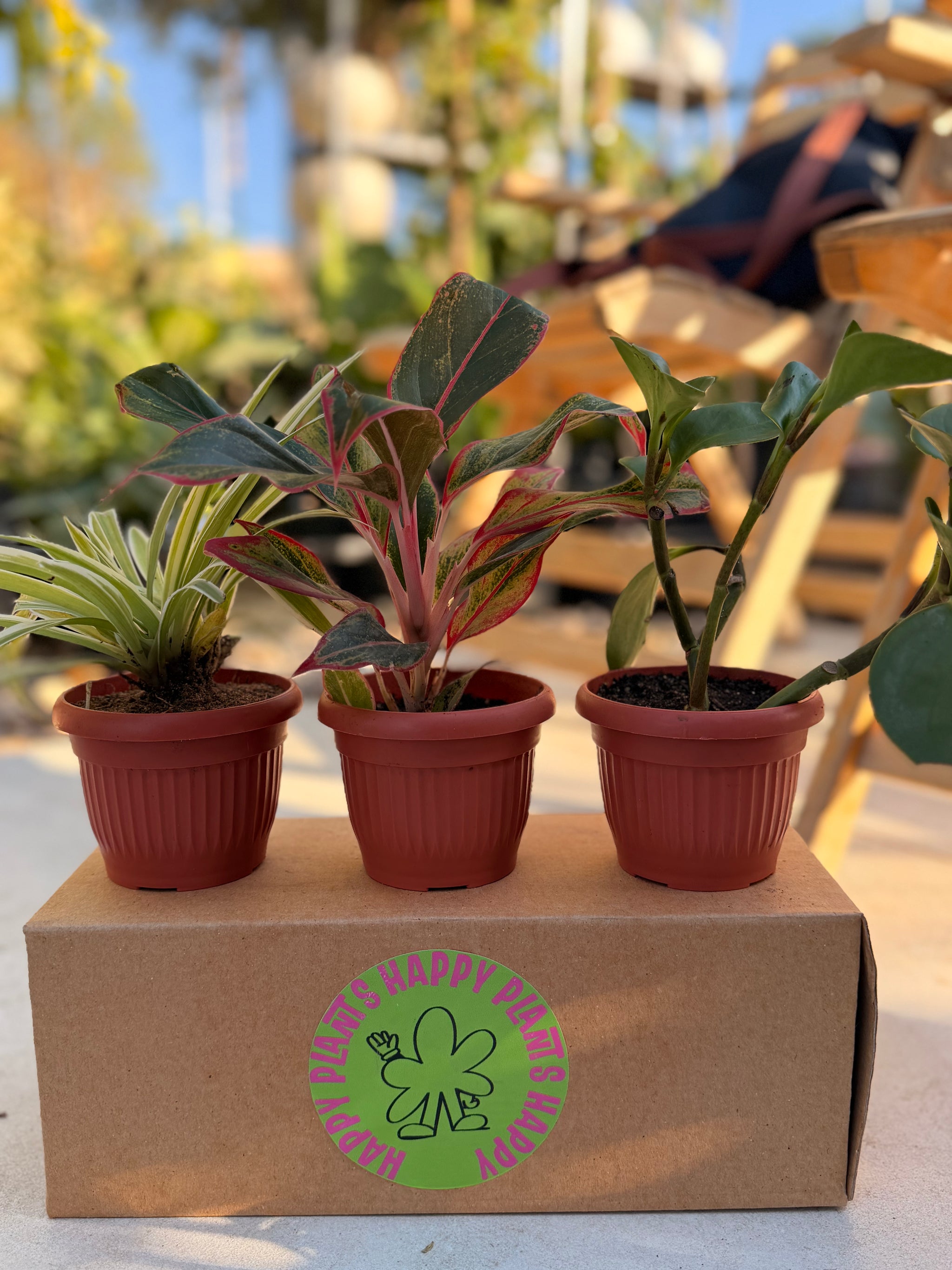 Resilient Indoor Trio