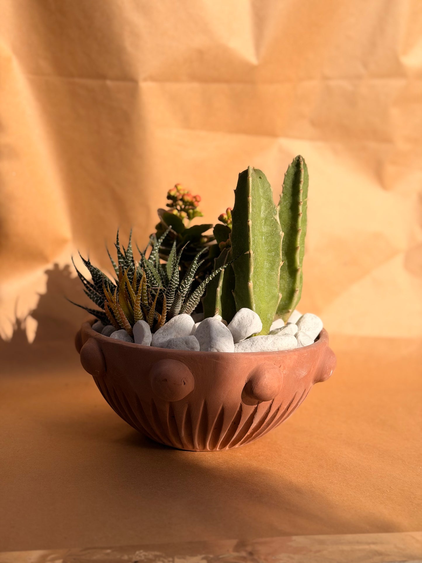 Bouquet Cactus Garden
