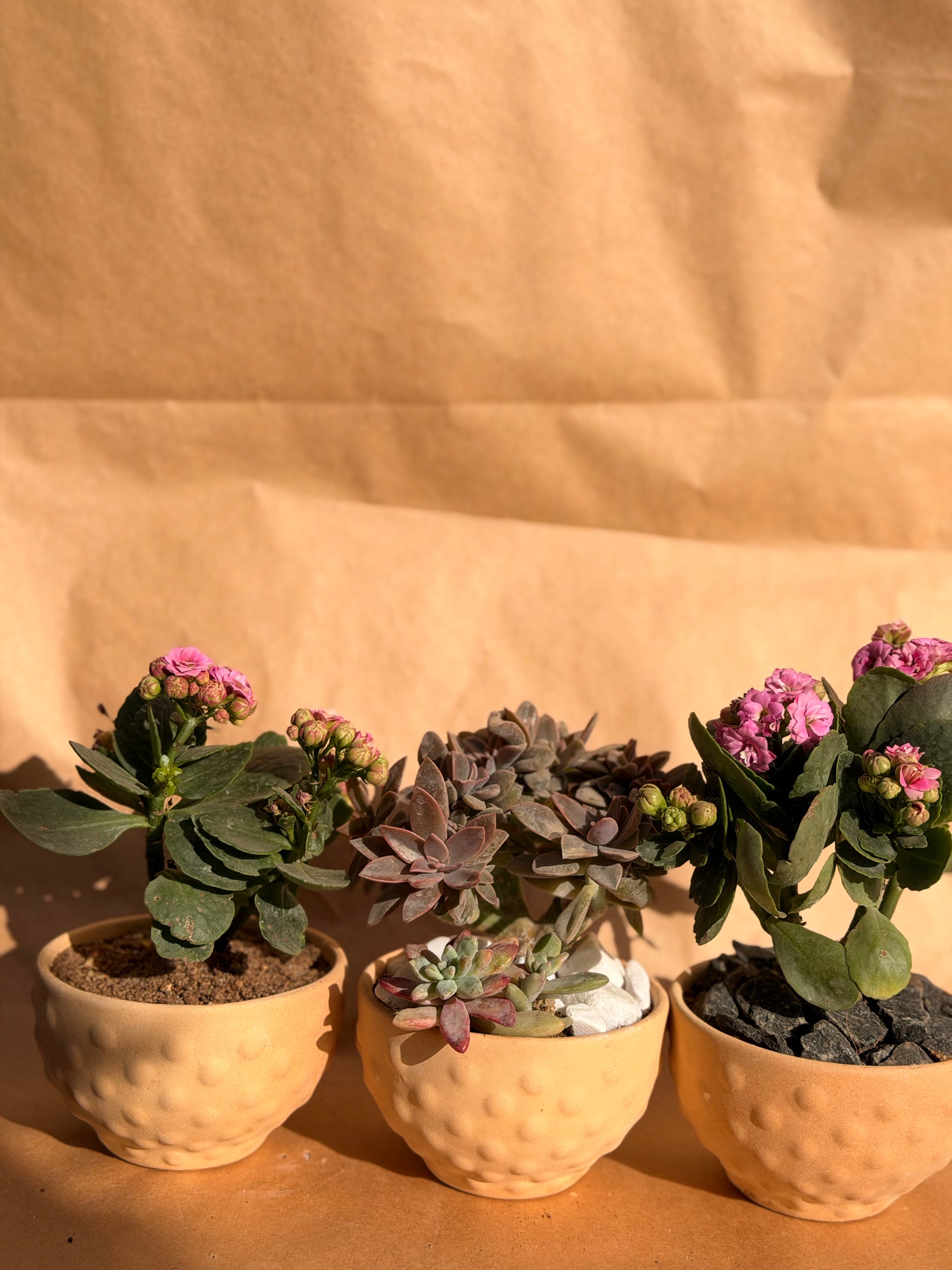 Valentine’s Mini Bubble Trio