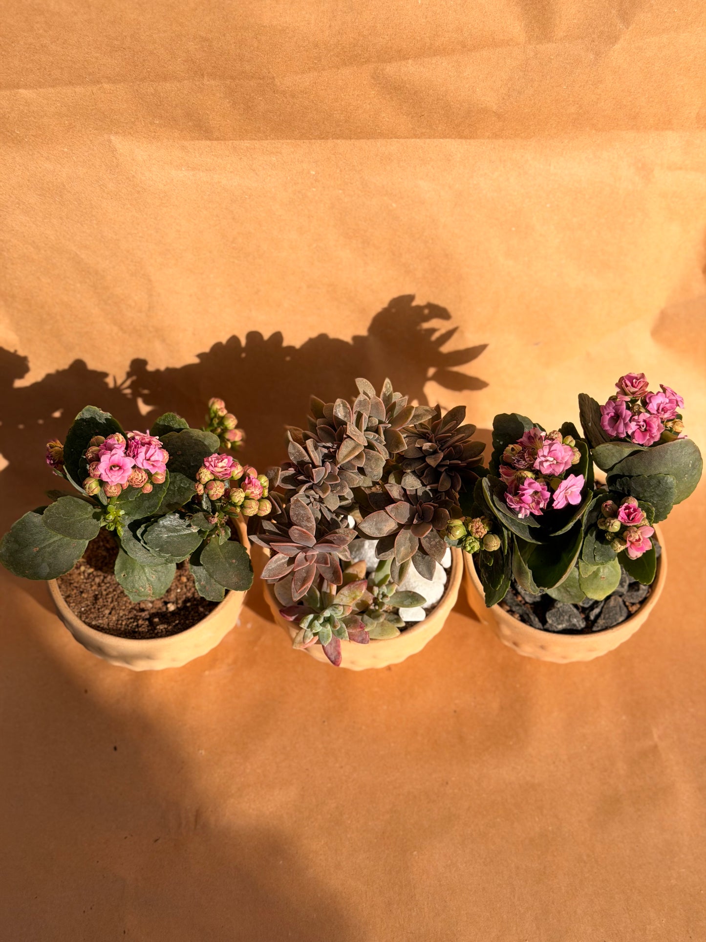 Valentine’s Mini Bubble Trio