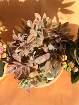 Valentine’s Mini Bubble Trio