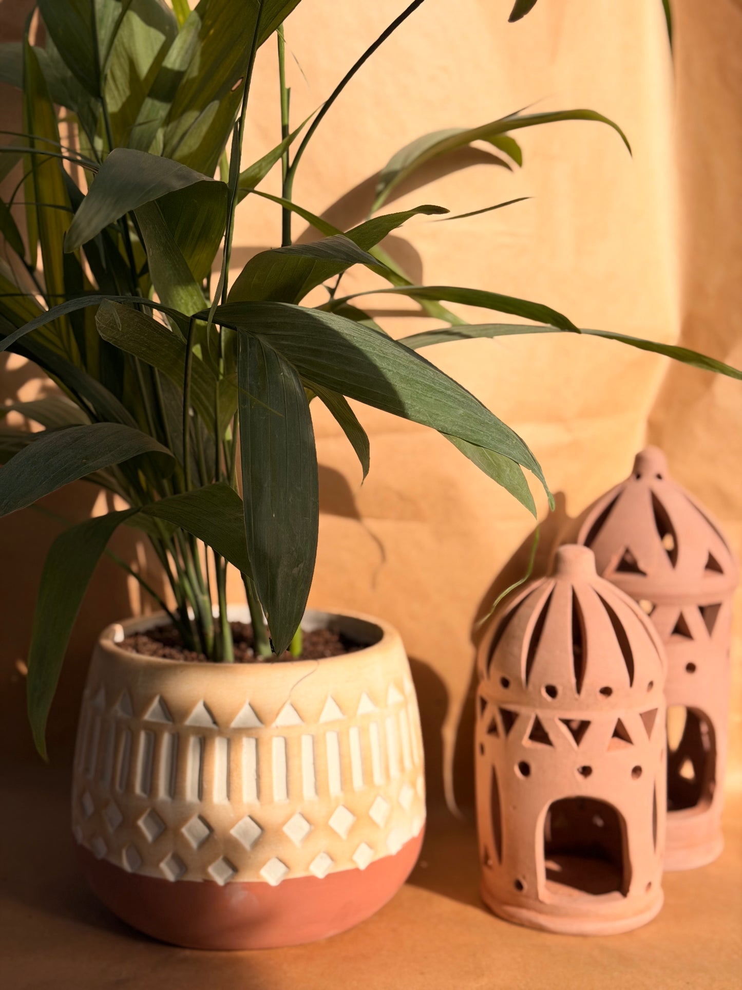 Bamboo the Crescent