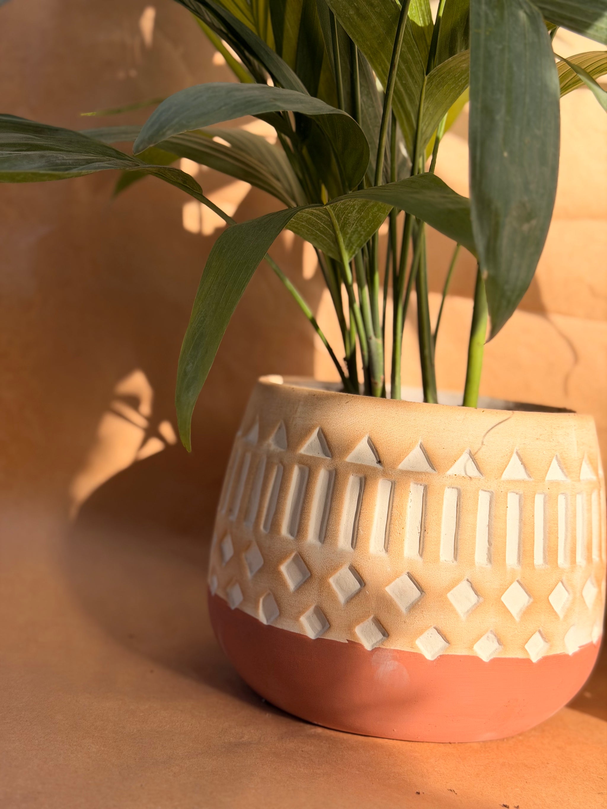 Bamboo the Crescent