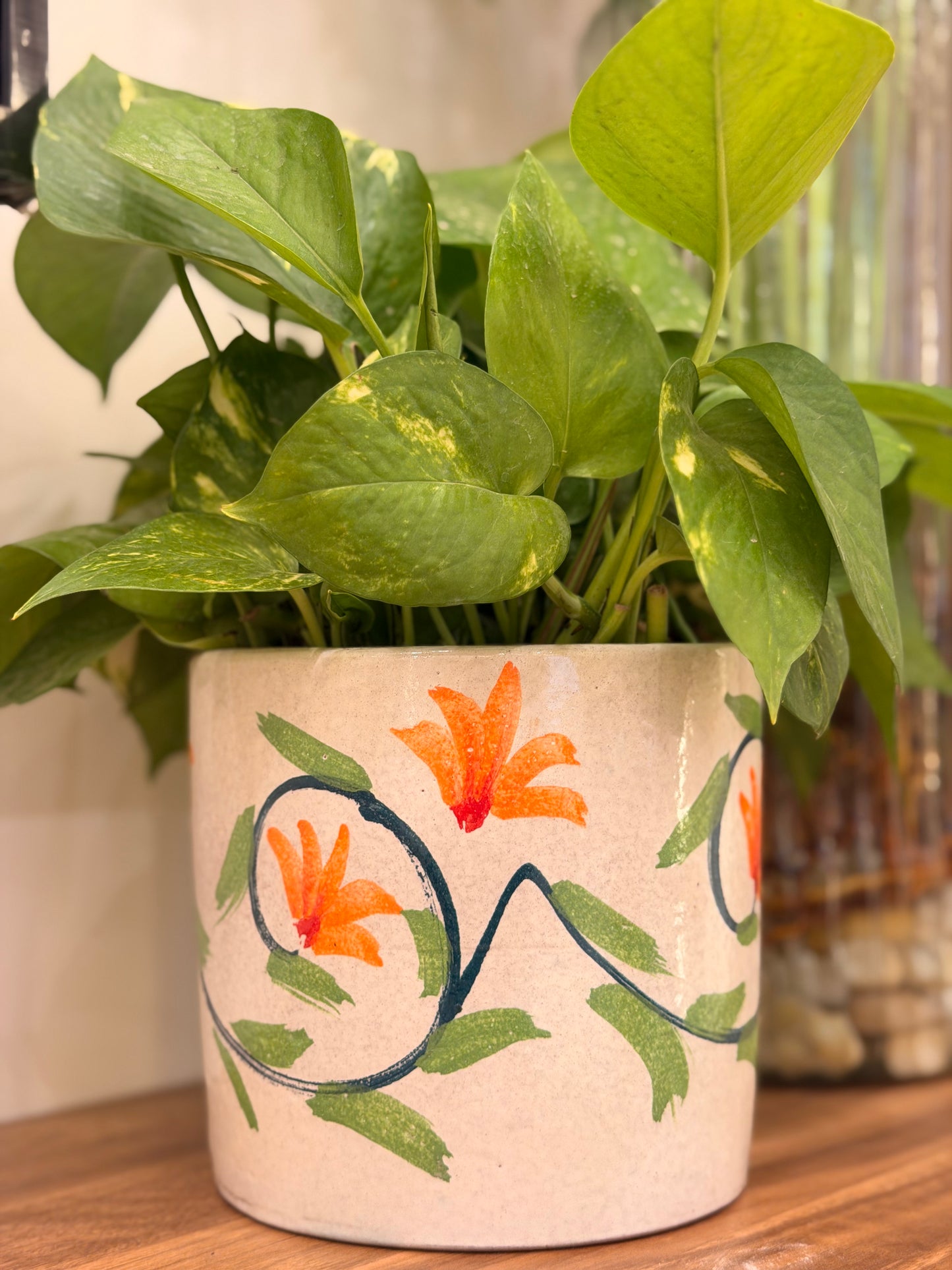 Arabesque Pothos
