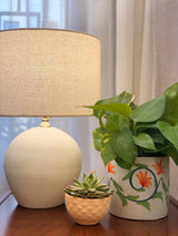 Arabesque Pothos