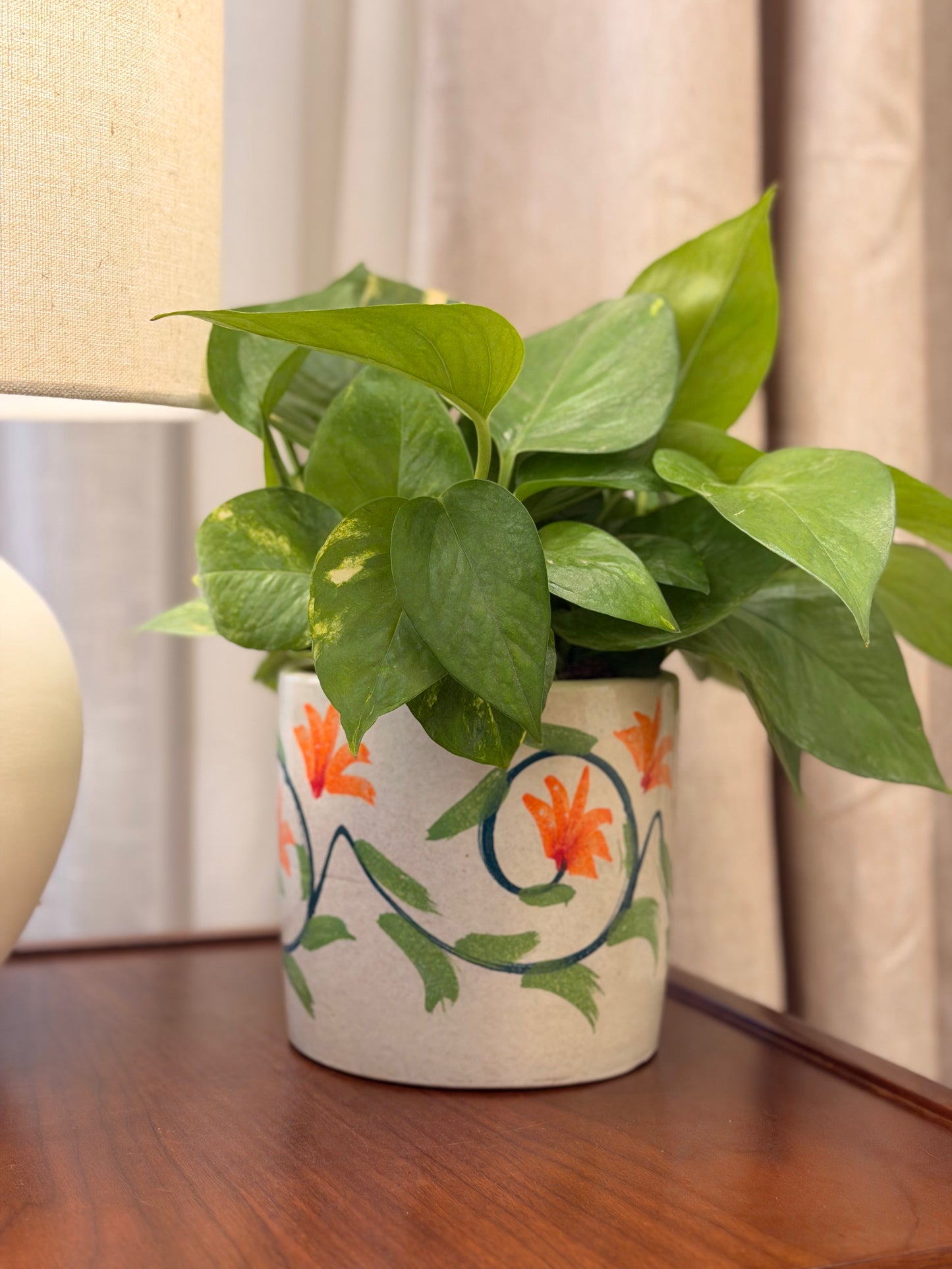 Arabesque Pothos