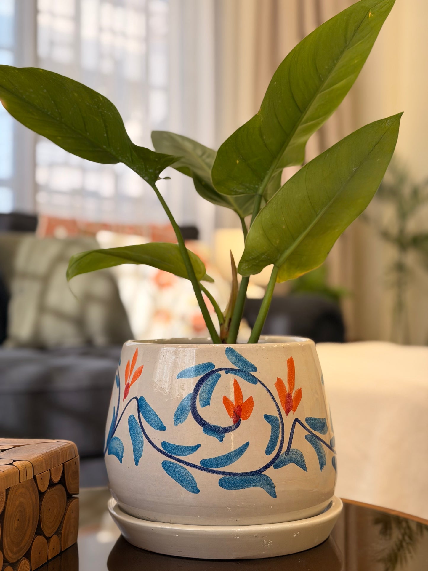 Arabesque Philodendron