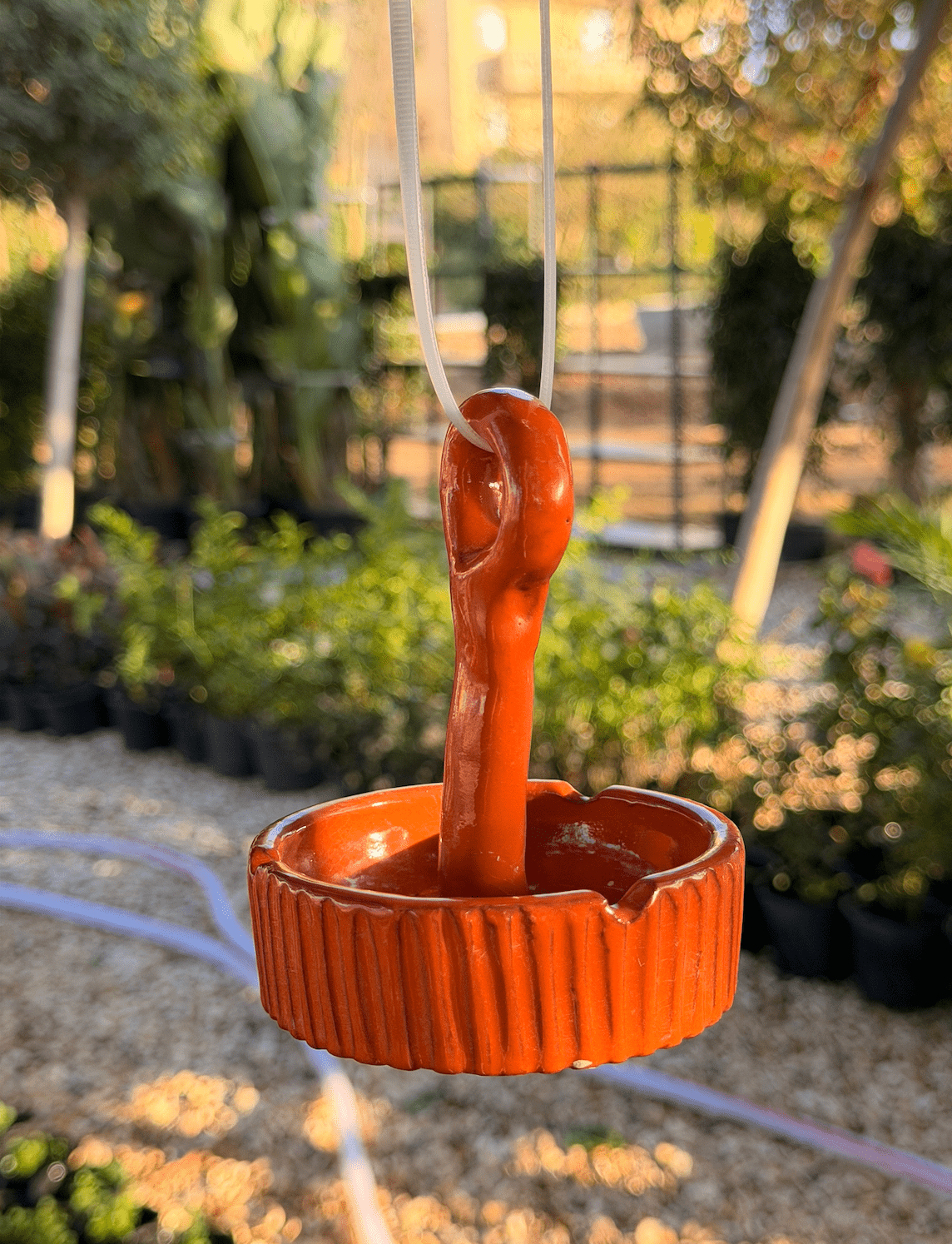 Bird Food Pendant - Bozor GardenWorks