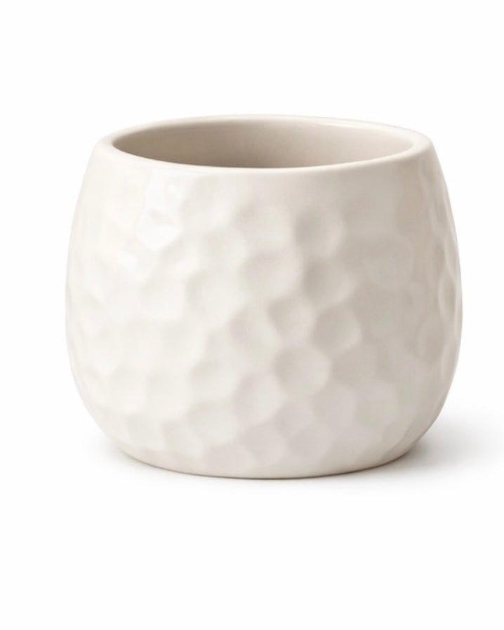 Dune Planter - Bozor GardenWorks