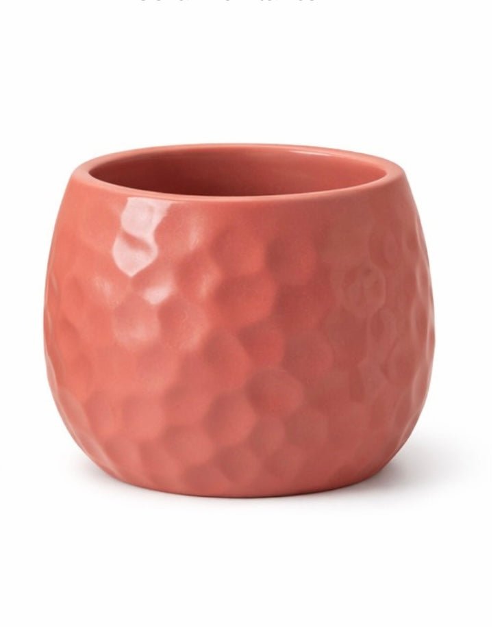 Dune Planter - Bozor GardenWorks
