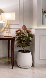 Large painted pot - Bozor GardenWorks