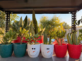 Mini Christmas Planters - Bozor GardenWorks