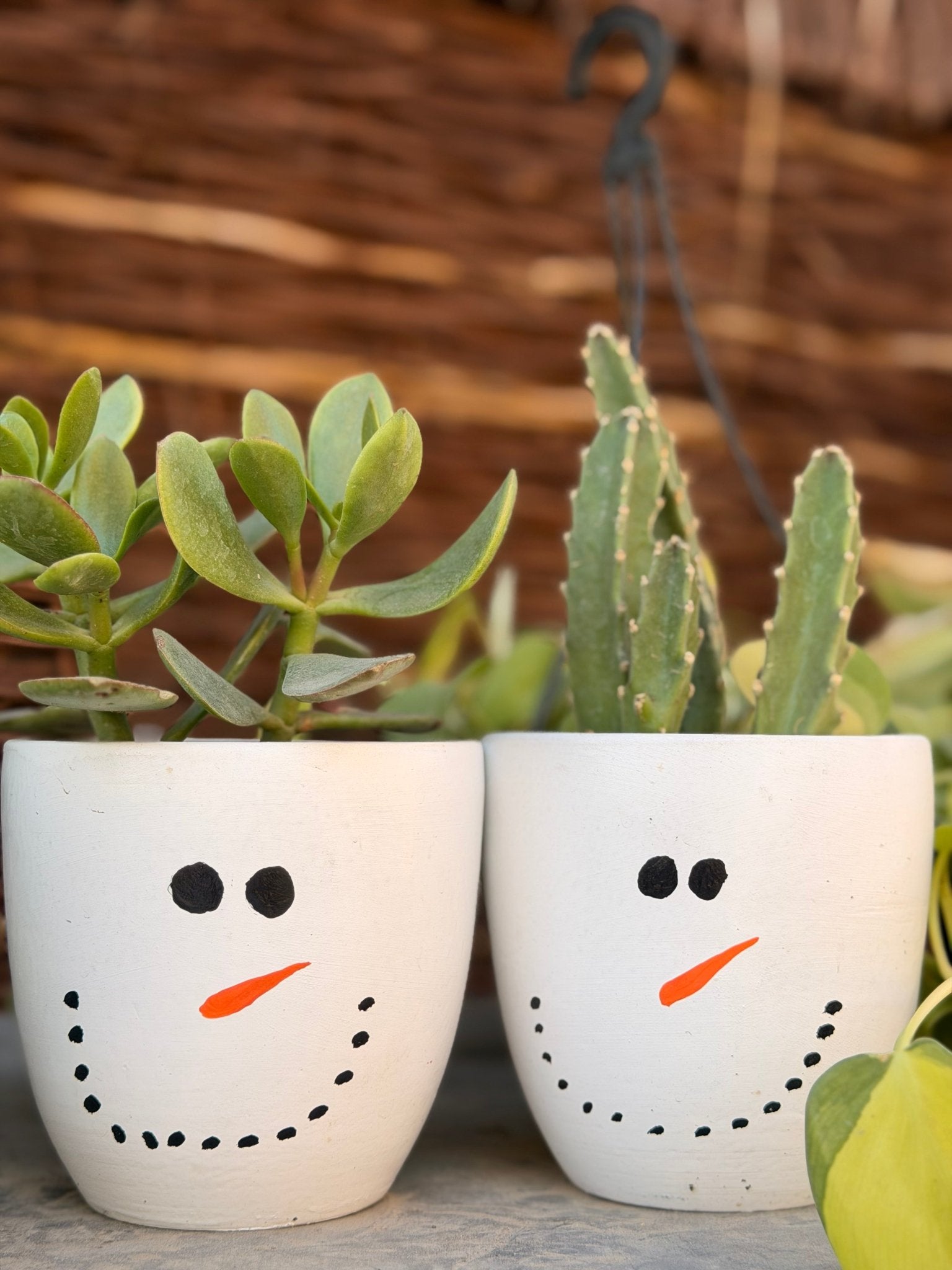 Mini Christmas Planters - Bozor GardenWorks