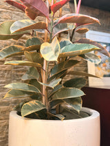 Nova Planter - Bozor GardenWorks