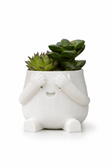Peek - a - Boo Planter - Bozor GardenWorks