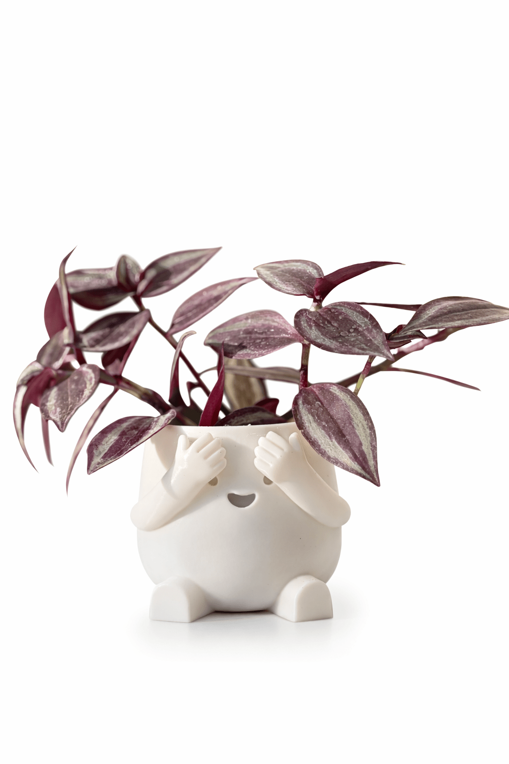 Peek - a - Boo Planter - Bozor GardenWorks