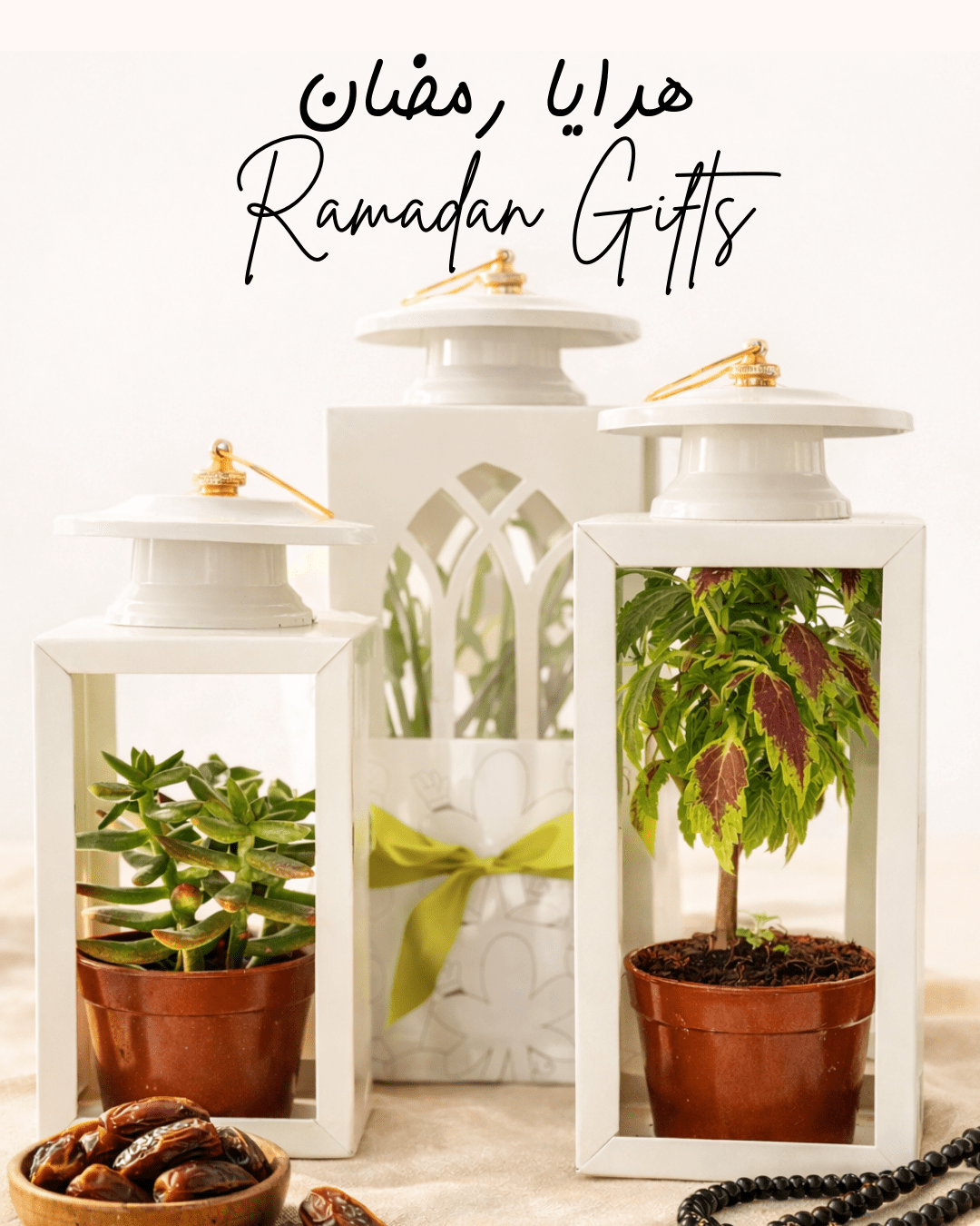 Plant Lantern - Bozor GardenWorks