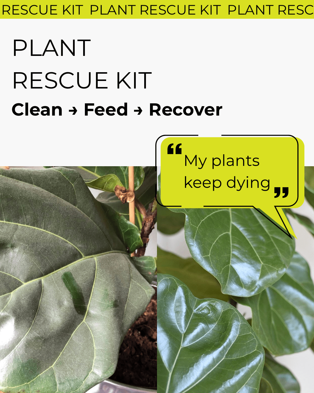 Plant Rescue Kit - Bozor GardenWorks