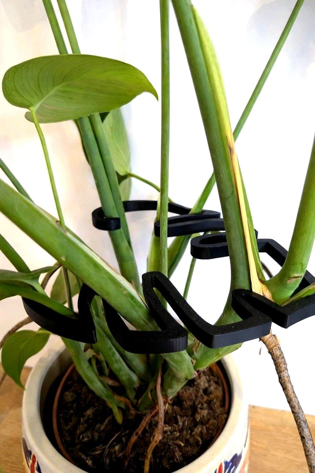 Plant Support - Bozor GardenWorks