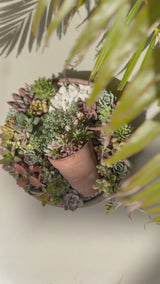 Waterfall Garden
