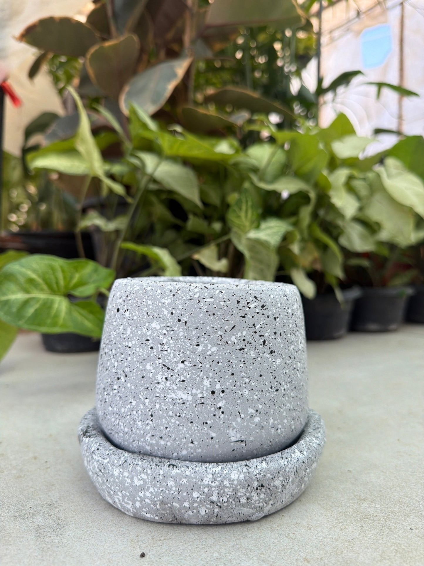 Speckled Pot with Plate - Bozor GardenWorks