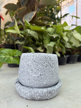 Speckled Pot with Plate - Bozor GardenWorks