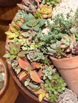 Waterfall Garden - Bozor GardenWorks