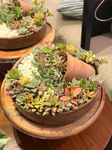 Waterfall Garden - Bozor GardenWorks